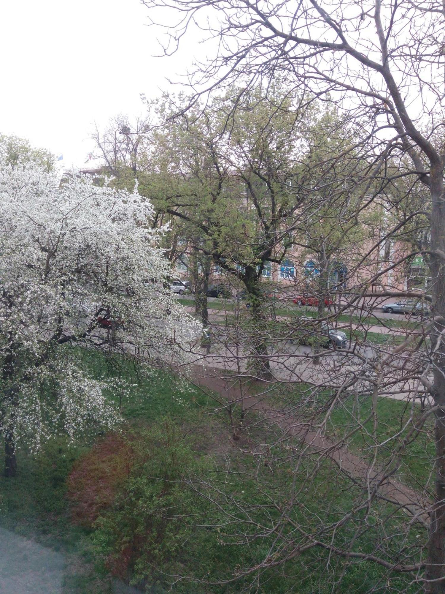 Квартира Студія В Центрі Міста Філармонія Khmelʼnytsʼkyy Exteriér fotografie